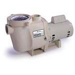 Pentair Whisperflo Dual Speed Up Rate 1 HP Pump - WFDS-24 ...