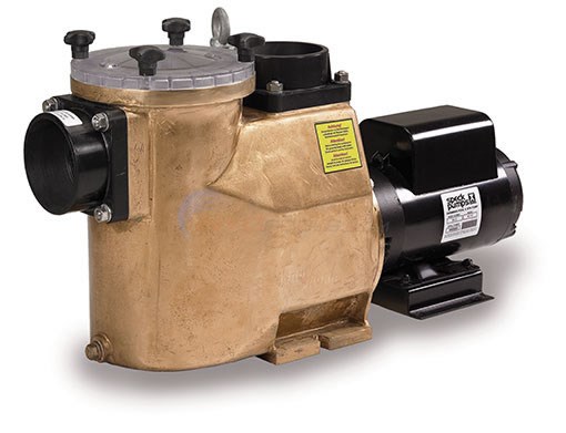 Speck 93 4 HP EE Single Speed Bronze Commerical Pool Pump (S.F. 1.00