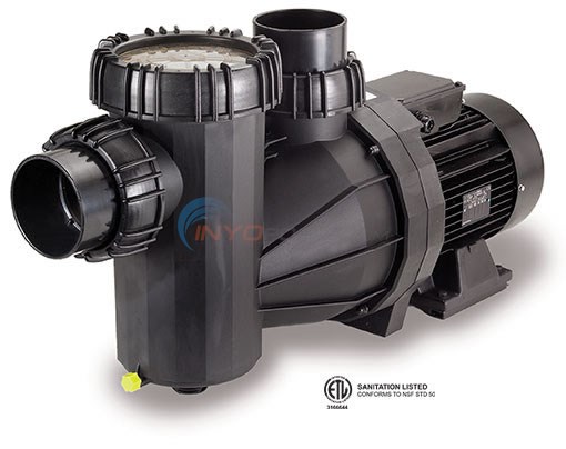 Speck 95 5 HP EE Single Speed Plastic Commerical Pool Pump (95IX