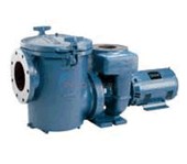 CSP Series Commercial Pump 7.5HP 1-Phase 230V(Strainer not included)