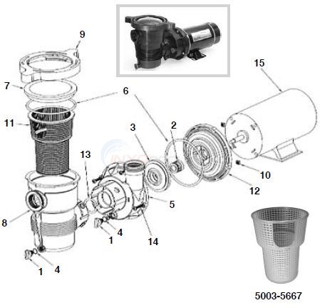 pentair pump optiflo parts hp diagram inyopools