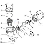 Pentair / Purex A & AH Pumps Parts
