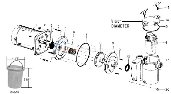 Anthony Centrifugal Pool Pumps Diagram