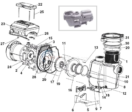 Pentair Intelliflo VF Parts - INYOPools.com