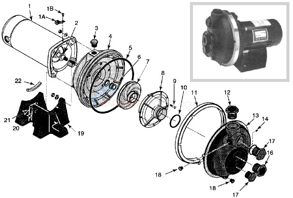 Sta-Rite PLBC Booster Pump Diagram