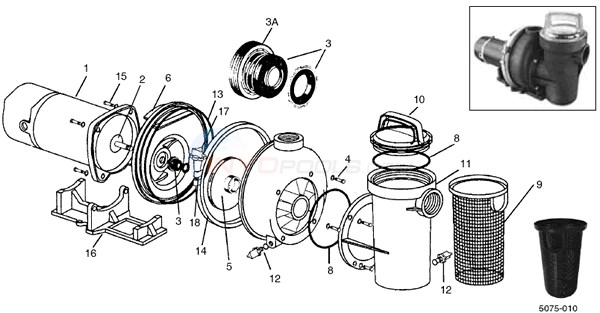 Water Ace Pump Parts