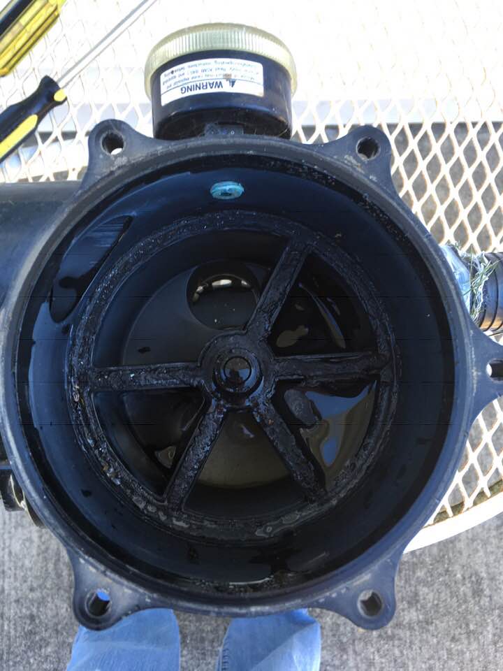 Diverter Gasket, 11/2" (G416) 271104