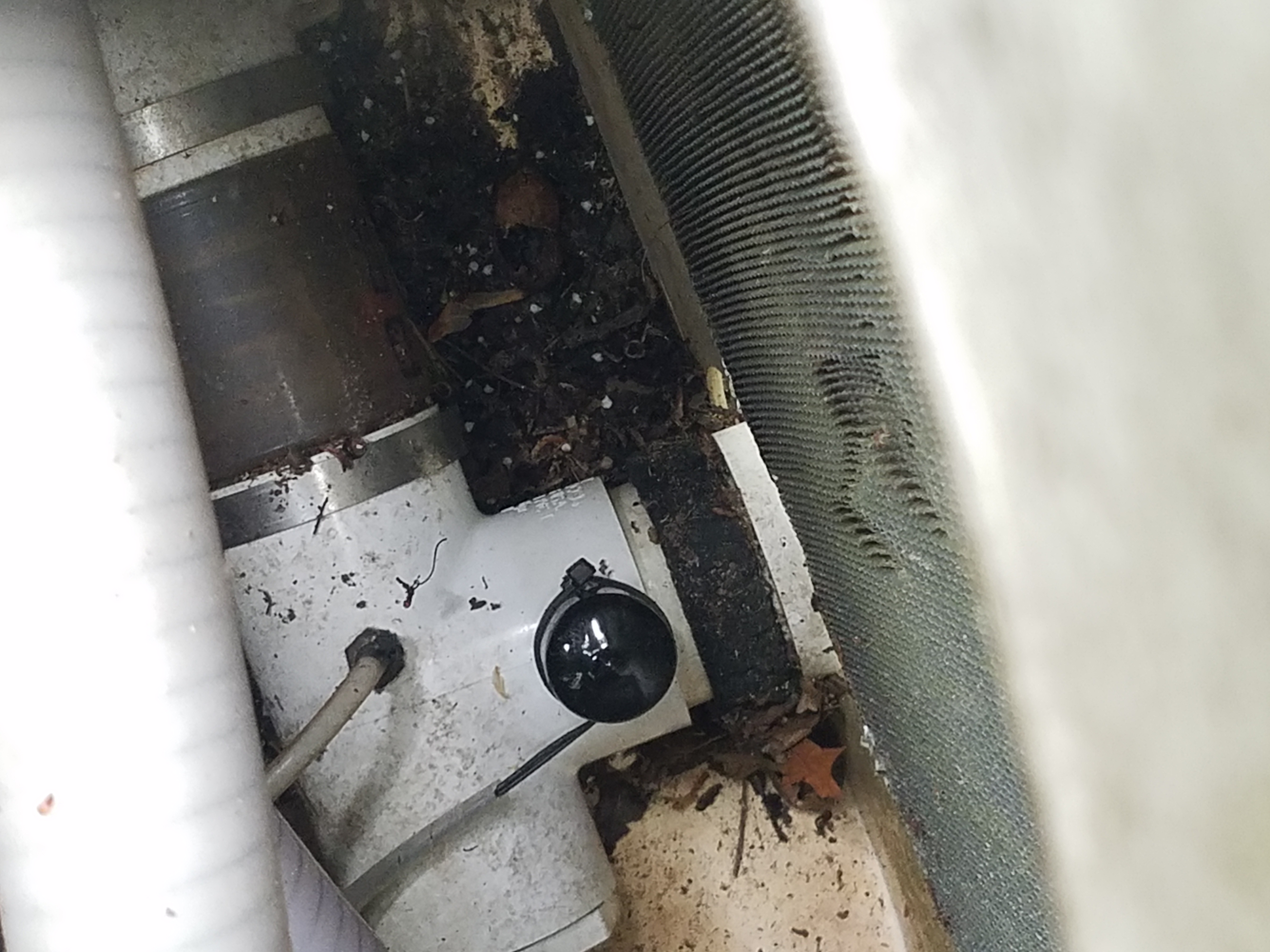 AquaCal WATER TEMPERATURE / DEFROST SENSOR 10K OHMS (STK0021) 6105D