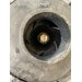 Pentair Impeller Locking Screw- 355389