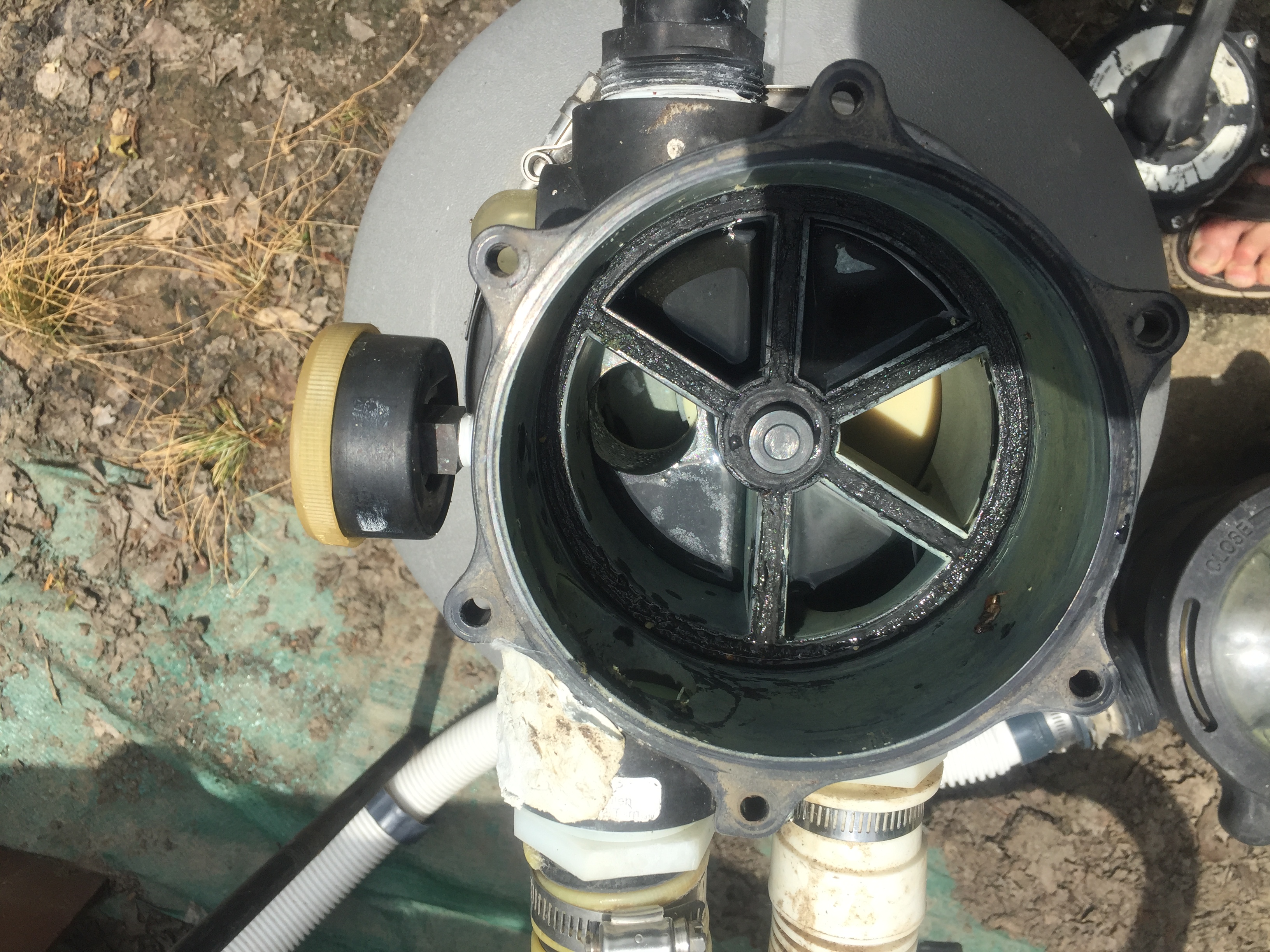 Astral Spider Gasket (00597r0102)