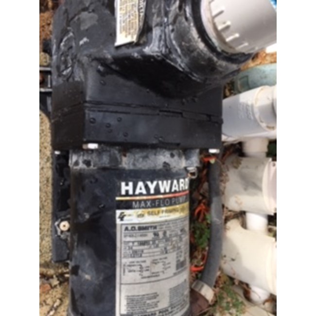 Hayward Seal Plate Replacement for Select Super Pump Models - SPX1611E5