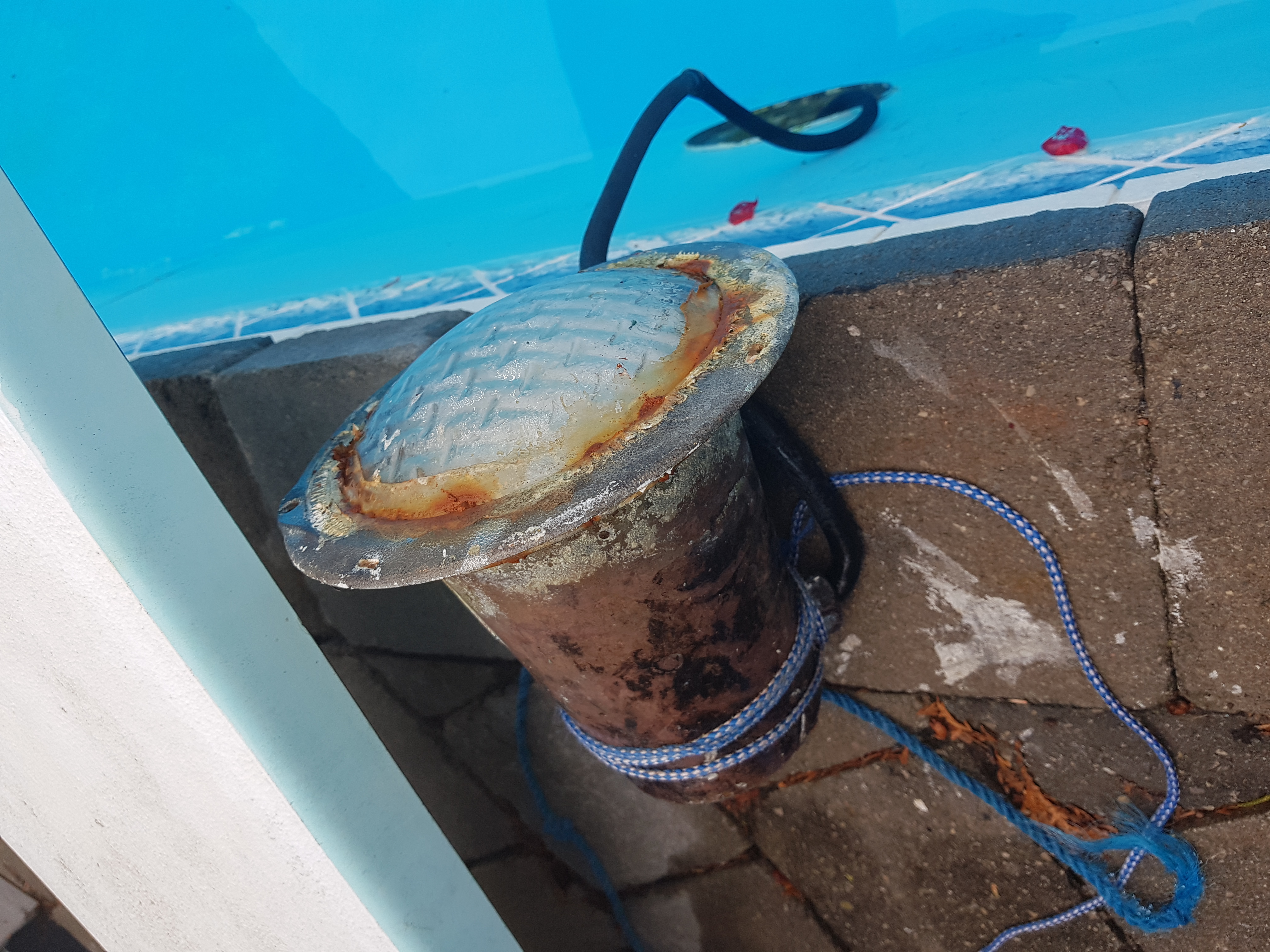 swimquip underwater watt volt sta rite cord inyopools