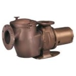 C Series Commercial Bronze Pump