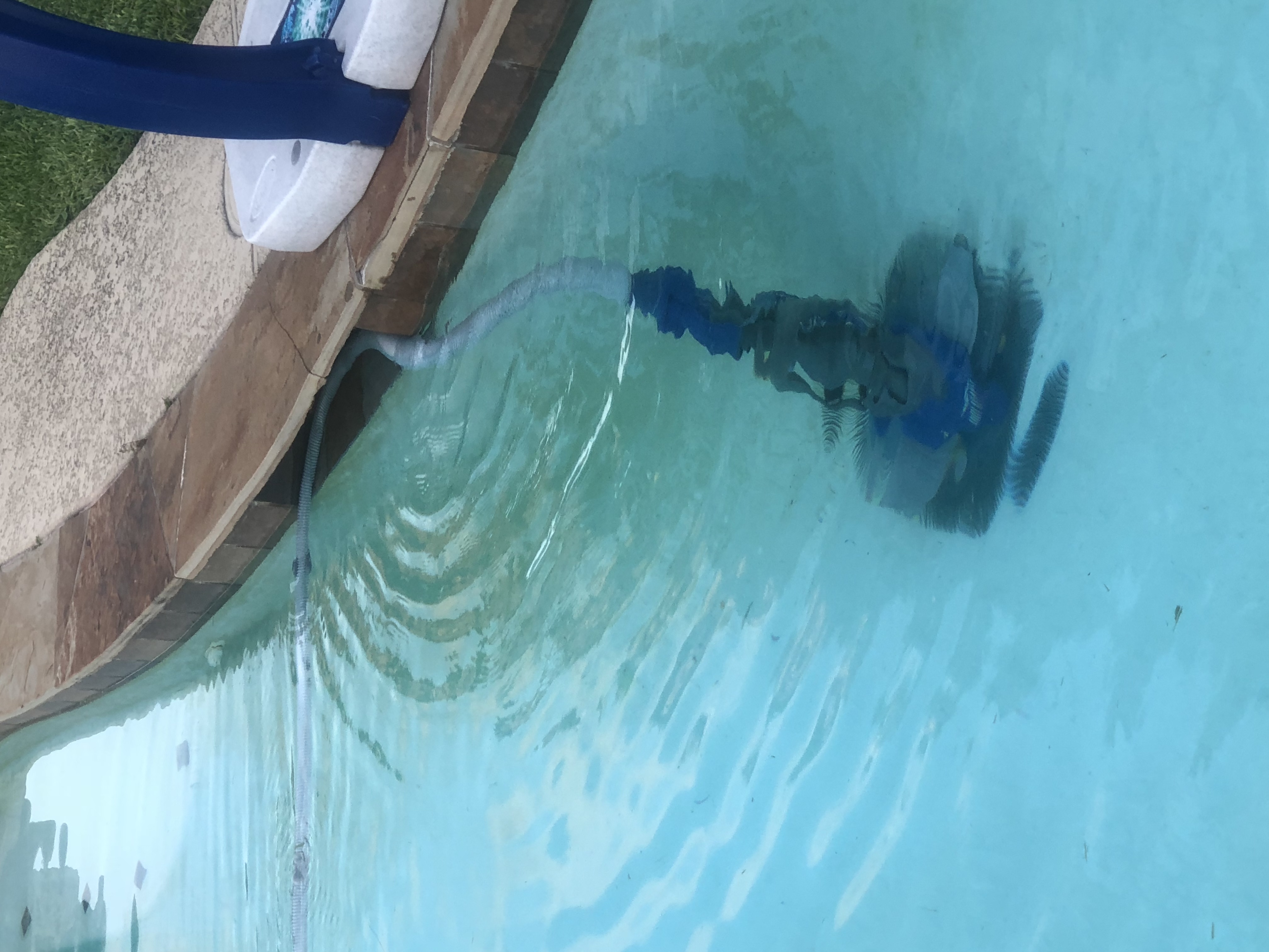 Kreepy Krauly Hose Keeps Getting Stuck