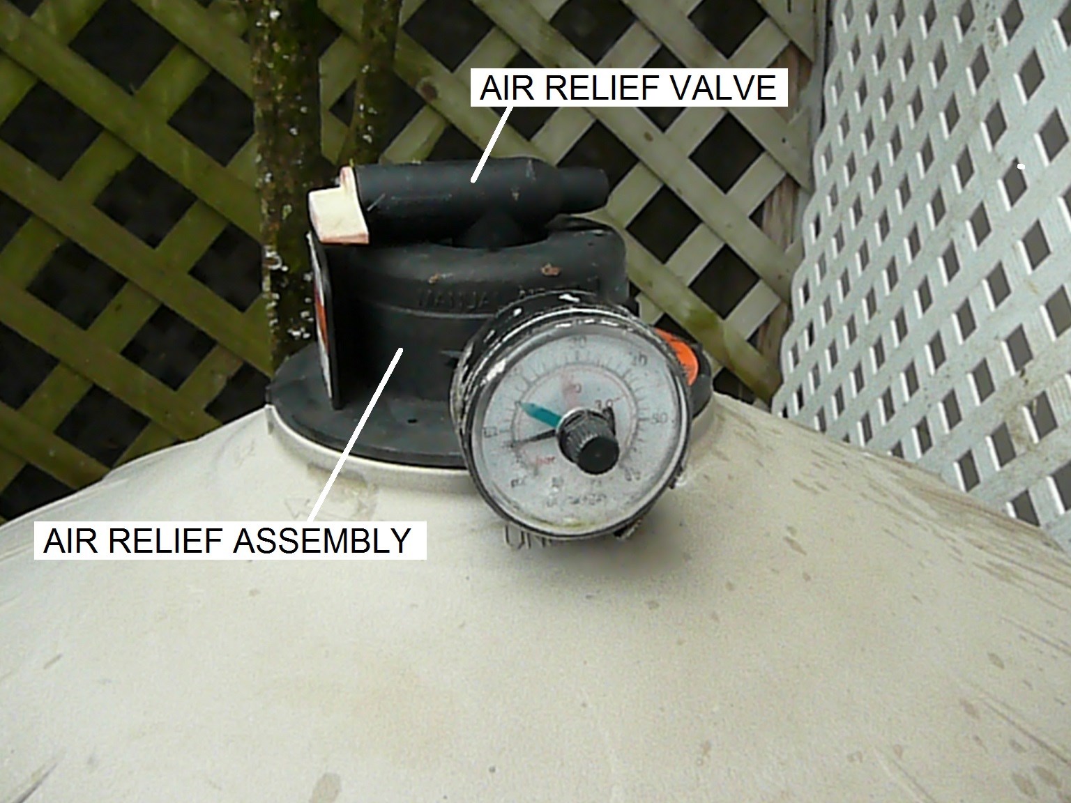 How To Replace a Hayward DE Filter Air Relief Valve - INYOPools.com