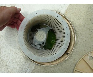 pool skimmer step moderate algae treat swimming low inyopools maintain correct pressure system