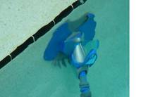 dedicated suction line pool