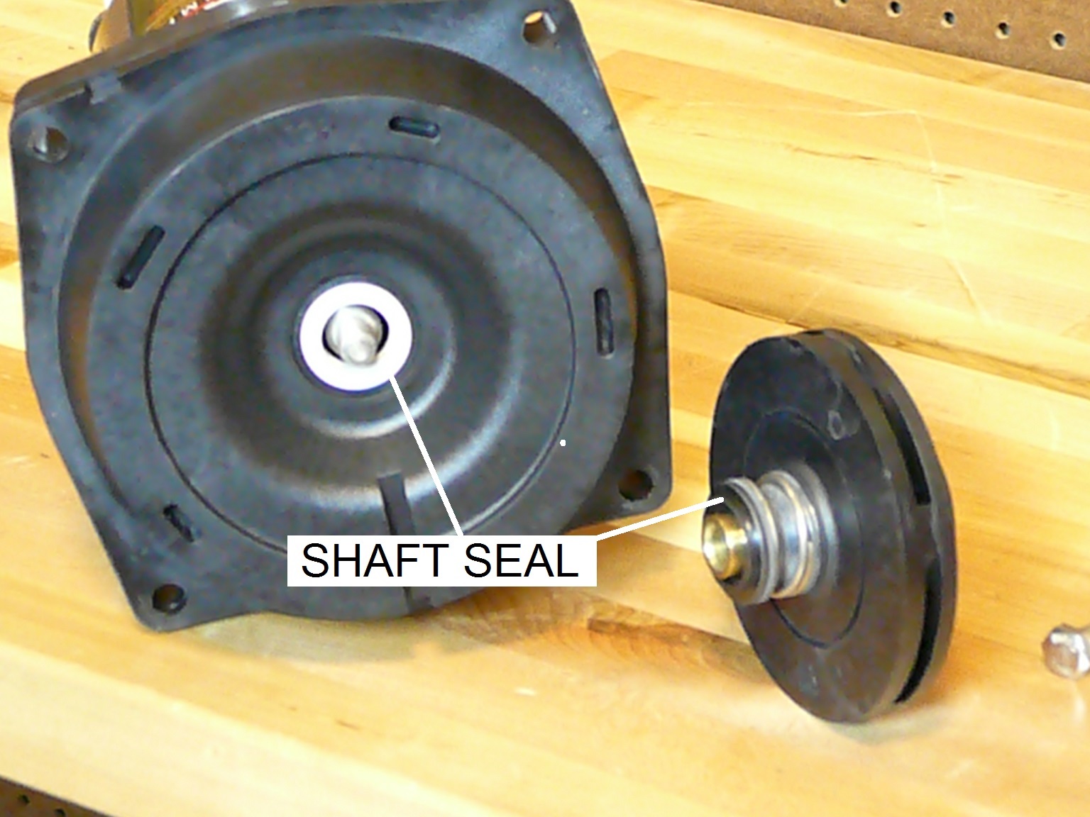 How To Replace the Bearings in a Pool Pump Motor - Part II