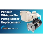 How To Replace A Pentair Whisperflo Pump Motor