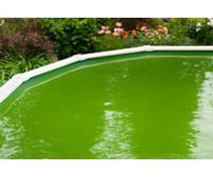 How To Clean A Green Above Ground Pool Fast / Clearing Up A Green Above Ground Pool Youtube