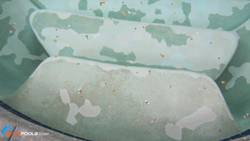 How to Treat Moderate Swimming Pool Algae - INYOPools.com