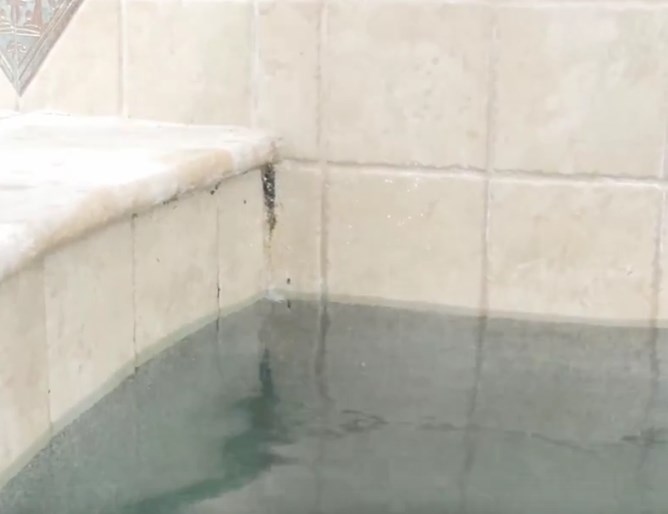 How To Clean Algae From Swimming Pool Tile Grout - INYOPools.com
