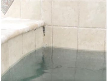 How To Clean Algae From Swimming Pool Tile Grout - INYOPools.com