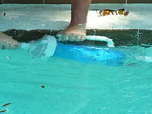 Kit Sostituzione Trappola Foglie Per Pompa Piscina: Coperchio Trasparente + 5 Filtri (per W26705, R211084, Hayward W560)