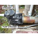 How To Clean Out the Pool Pump Strainer