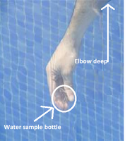 How To Open Your Swimming Pool (Spring Start Up In-Ground) - INYOPools.com