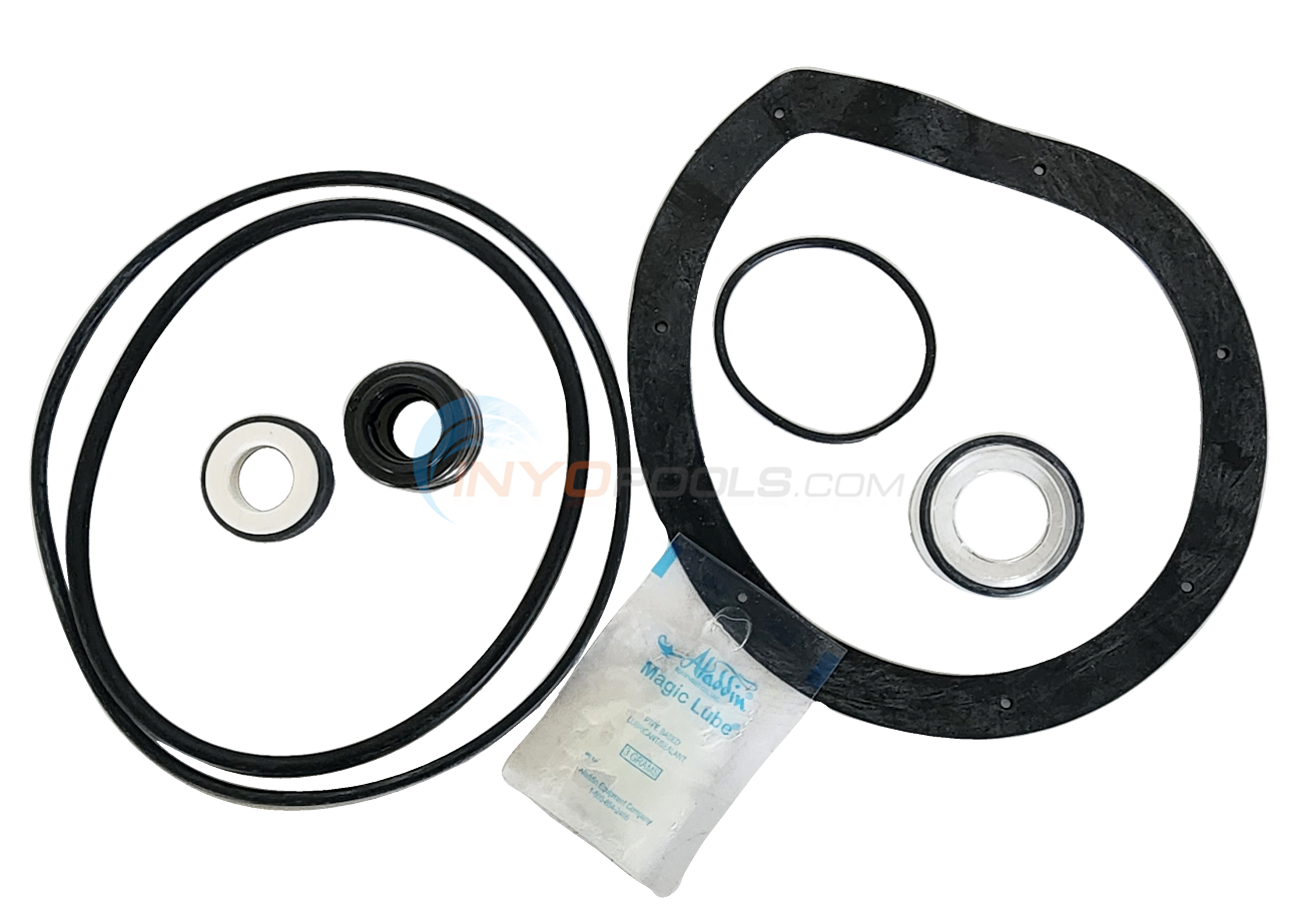 Hayward Powerflo & Powerflo LX GOKIT81/PL1081 by Pureline