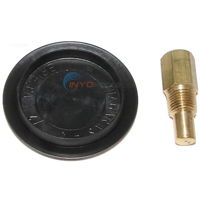 Raypak Rear Drain Plug And Cover (005264f)