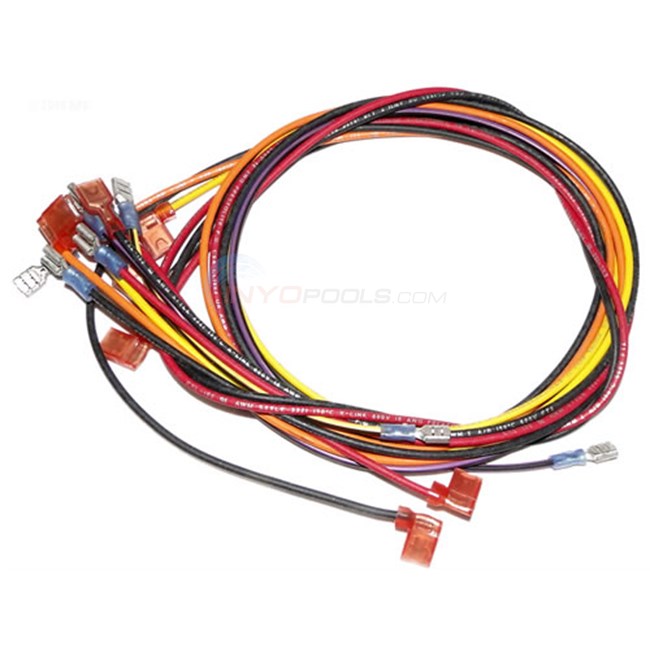 Raypak Wire/harness For Millivolt (005269f)