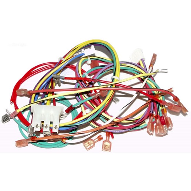Raypak Wire Harness IID - 005270F