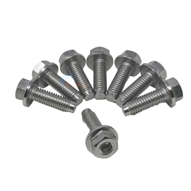 Pentair IntelliFlo3 VSF Seal Plate to Strainer Pot Bolts (Pack of 8) - 074164Z