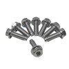 Seal Plate to Strainer Pot Bolts (Pack of 8)