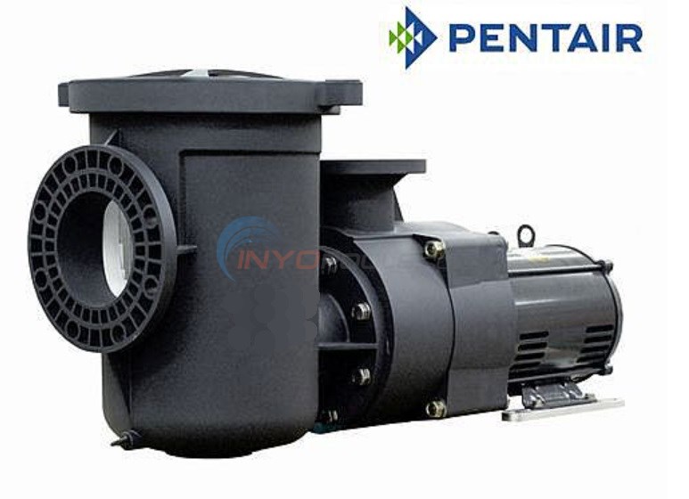Pentair EQ Series® 3-Phase Commercial Pump with Strainer, 5 HP, 208-230/460V 13.4-12.2/6.1 Amp