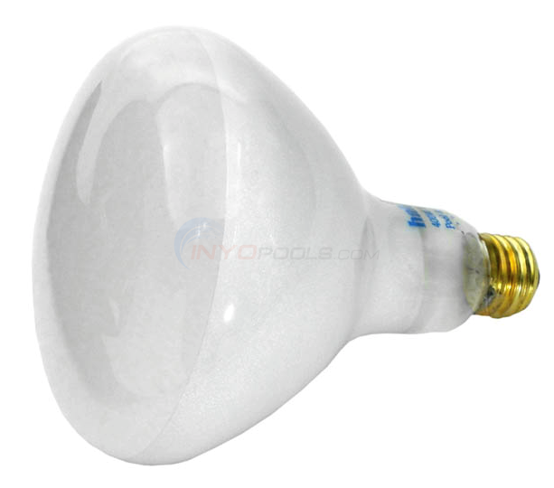 Light Bulb, Flood Light, 400W, 120V (400G/FL)