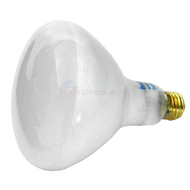 Light Bulb, Flood Light, 400W, 120V (400G/FL)