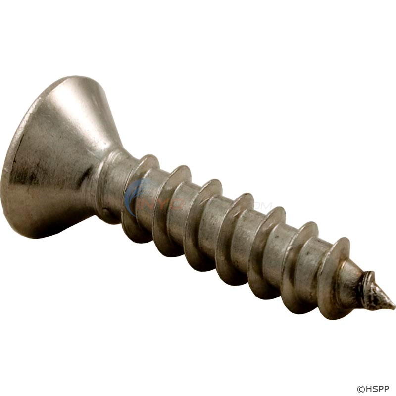 Pentair Screw, Flathead #12 X 1in (552472)