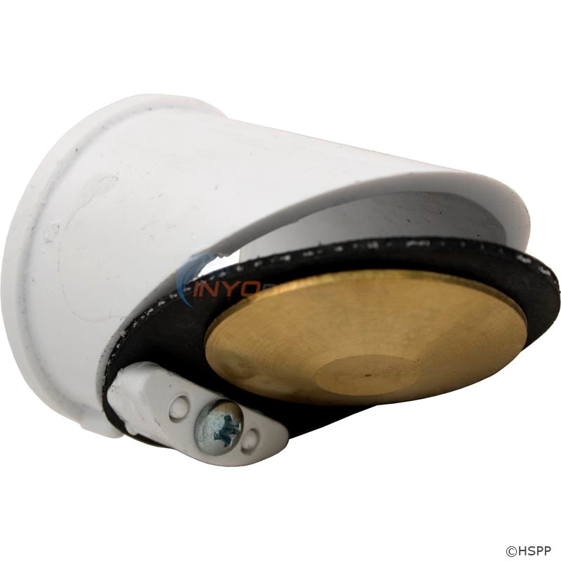 Pentair Check Valve Assembly (191437)