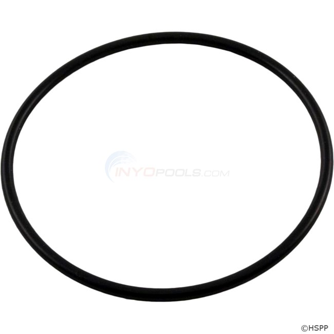 Pentair O-ring - Cfm Manifold (074021)