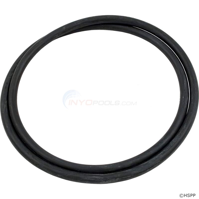 O-RING (178568)