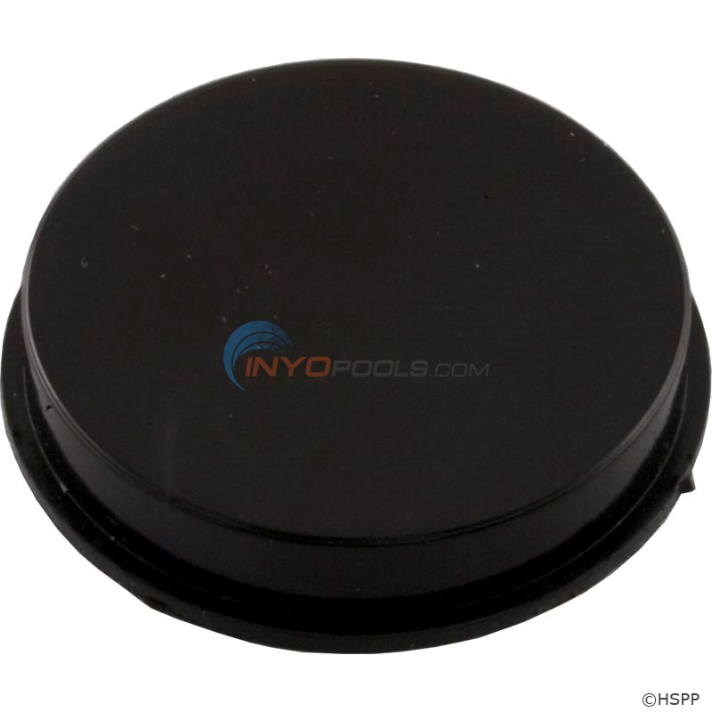 PLUG, TO DISABLE BY-PASS