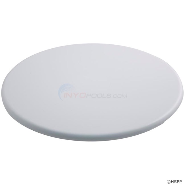 Pentair Niche And Cover, Filter (white) (r172542wh)