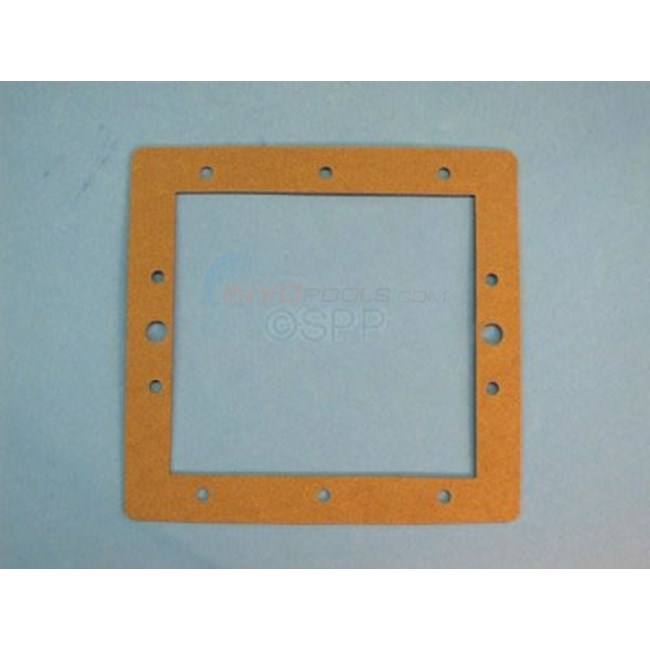 Filter Gasket,Front Face Plate,RAIN - 172471