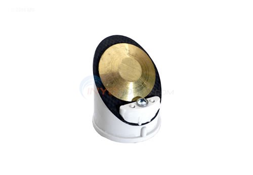 Pentair Check Valve Assembly (191437)