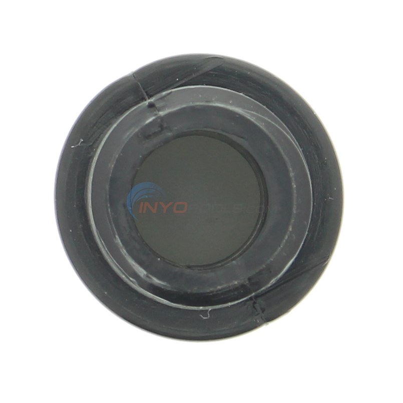 Pentair Automatic Feeder Check Valve 1/2"  For Model 320 - R172248