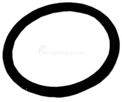 Professional G Big Boy O-ring (w13075) - INYOPools.com