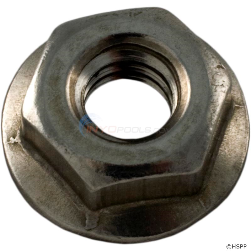 LTD QTY HEX NUT, 1/4 X 20 SS